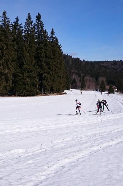 Cross country skiing area Frymburk - Lipno