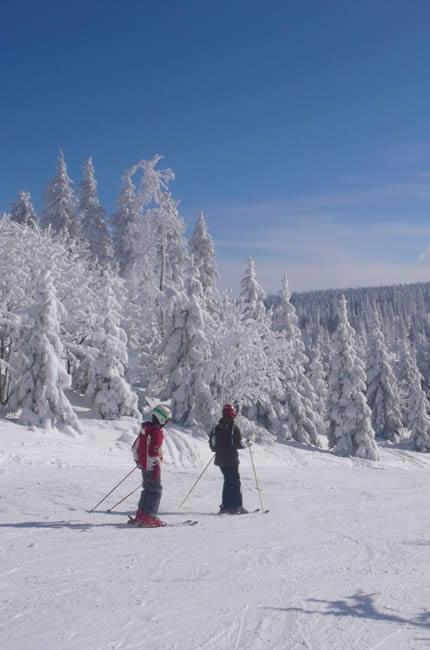 Skiareál Hochficht