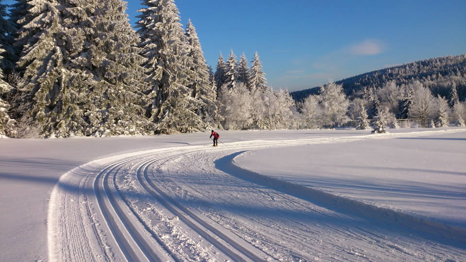 Cross-country skiing area  - Frymburk - Lipno