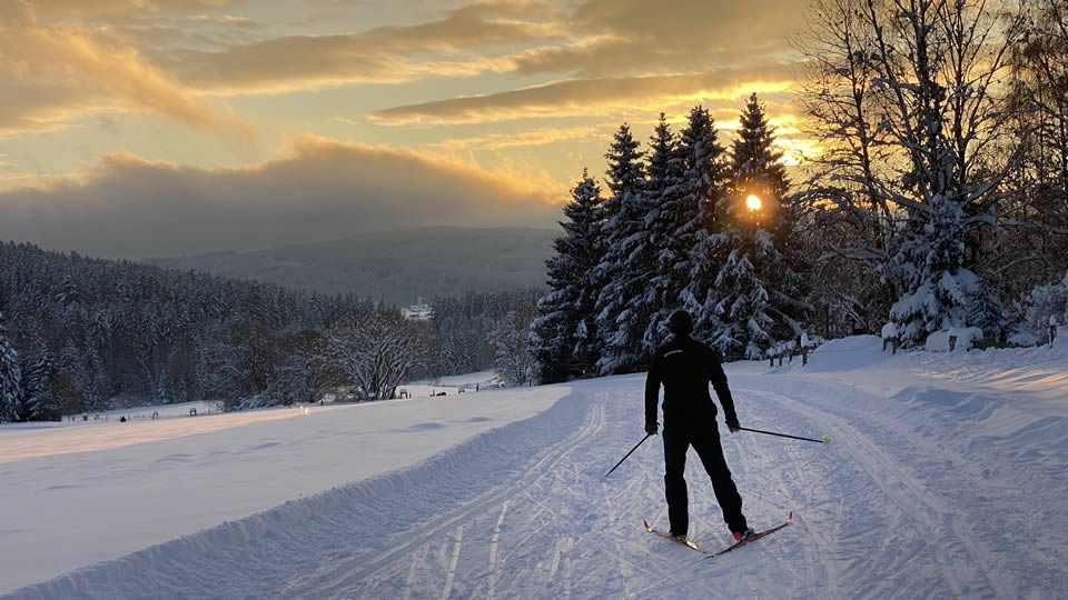 Cross-country skiing area - Frymburk - Lipno