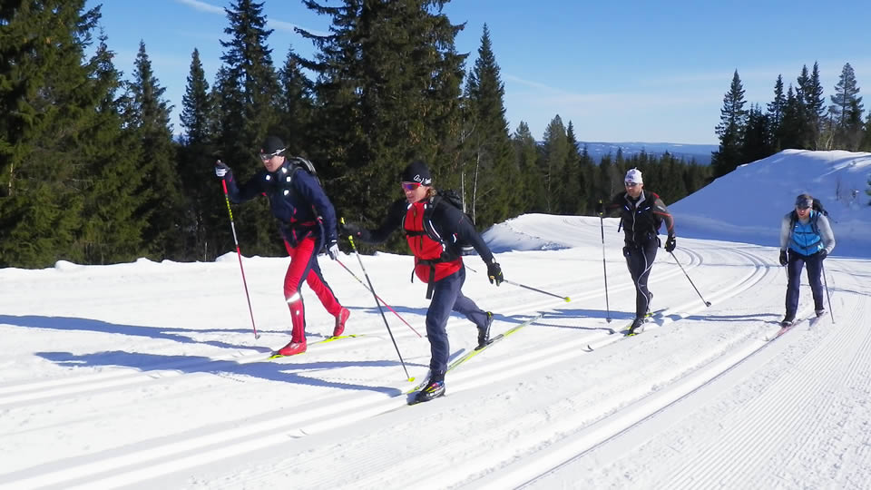 Cross-country skiing area  Schöneben