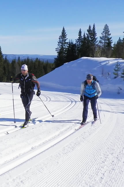 Cross country ski resort Schöneben