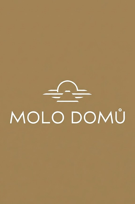 Logo MOLO DOMŮ