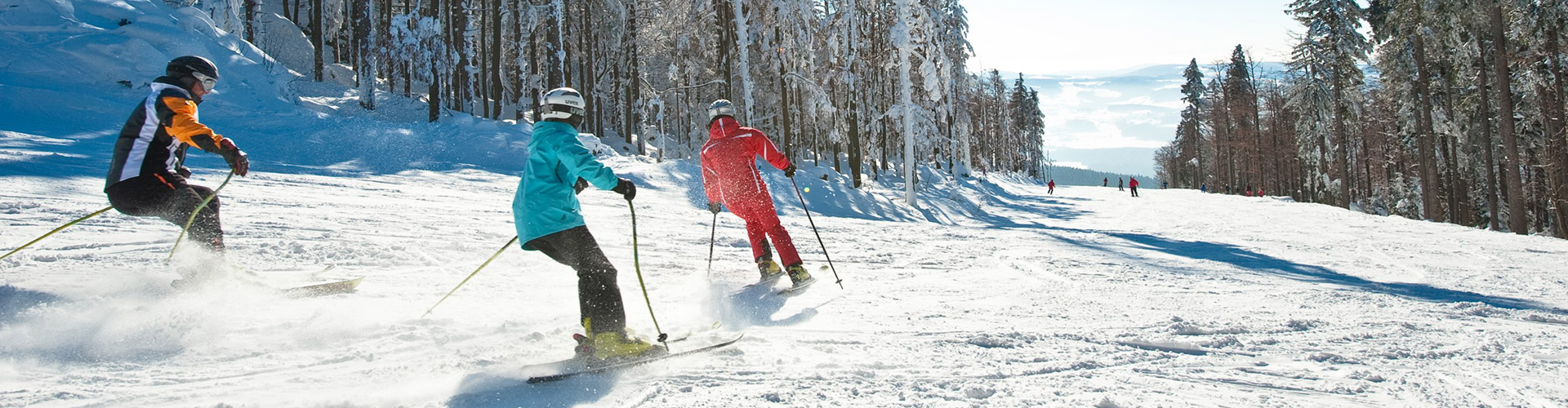 Skiareál Hochficht